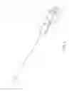Fig. 06 - Blunted safety needle