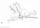 Fig. 01 - GASTRIC TRACTION DEVICE AND METHOD