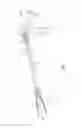 Fig. 03 - GASTRIC TRACTION DEVICE AND METHOD