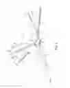 Fig. 04 - GASTRIC TRACTION DEVICE AND METHOD