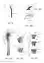 Fig. 09 - Osteotomy plate for long bones