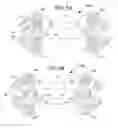Fig. 06 - Polyaxial bone plate and locking assembly