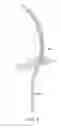 Fig. 04 - Catheter with adjustable arcuate distal section