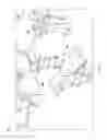 Fig. 02 - Notched apparatus for guidance of an insertable instrument along an axis during spinal surgery