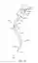 Fig. 27 - Curved cannula surgical system