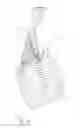 Fig. 08 - IMPLANT HAVING A CORE