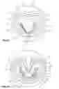 Fig. 03 - Prosthetic preform for producing a dental prosthetic body