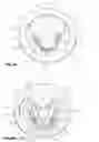 Fig. 04 - Prosthetic preform for producing a dental prosthetic body