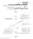 Fig. 02 - Scaffolds for soft tissue and uses thereof