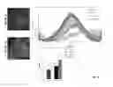 Fig. 10 - Scaffolds for soft tissue and uses thereof