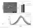 Fig. 11 - Scaffolds for soft tissue and uses thereof