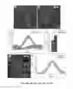 Fig. 18 - Scaffolds for soft tissue and uses thereof