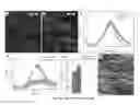 Fig. 19 - Scaffolds for soft tissue and uses thereof
