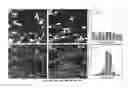 Fig. 20 - Scaffolds for soft tissue and uses thereof