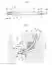 Fig. 05 - Stent