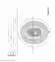 Fig. 06 - Accommodating intraocular lens providing progressive power change