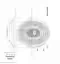 Fig. 09 - Accommodating intraocular lens providing progressive power change