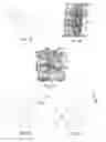 Fig. 02 - BONE GRAFT MATERIALS AND METHODS