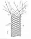 Fig. 02 - Secured strand end devices