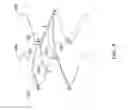 Fig. 05 - TRACHEAL STENT