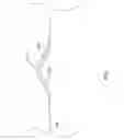 Fig. 08 - TRACHEAL STENT