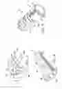 Fig. 03 - Forearm and wrist support sleeve