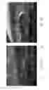 Fig. 13 - Process and apparatus for manufacturing an absorbent article using a laser source