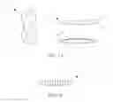 Fig. 02 - Disposable menstrual undergarment