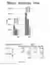 Fig. 14 - Systems and methods for improving sensory eye dominance, binocular imbalance, and/or stereopsis in a subject