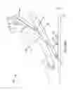 Fig. 10 - Systems and methods for head up cardiopulmonary resuscitation