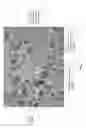 Fig. 02 - Stable three-phased emulsions