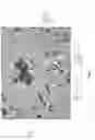 Fig. 03 - Stable three-phased emulsions