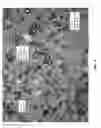 Fig. 05 - Stable three-phased emulsions