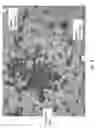 Fig. 06 - Stable three-phased emulsions