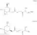 Fig. 23 - Succinate derivatives