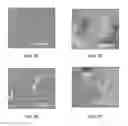 Fig. 09 - BIOADHESIVE FILMS FOR LOCAL AND/OR SYSTEMIC DELIVERY
