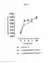 Fig. 03 - INJECTABLE SUPERSATURATED ACETAMINOPHEN SOLUTION FOR SPINAL ADMINISTRATION