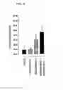 Fig. 05 - INJECTABLE SUPERSATURATED ACETAMINOPHEN SOLUTION FOR SPINAL ADMINISTRATION