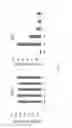 Fig. 02 - Methods for treating neutropenia