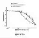 Fig. 07 - PROCESS AND COMPOSITION FOR STABILIZATION OF VULNERABLE PLAQUE UTILIZING A COMBINATION OF A STATIN AND OMEGA 3 FATTY ACIDS