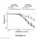 Fig. 14 - PROCESS AND COMPOSITION FOR STABILIZATION OF VULNERABLE PLAQUE UTILIZING A COMBINATION OF A STATIN AND OMEGA 3 FATTY ACIDS