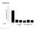 Fig. 25 - Method of treating androgen receptor (AR)-positive breast cancers with selective androgen receptor modulator (SARMs)