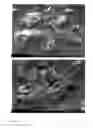 Fig. 18 - SOLID FORMS OF SELECTIVE ANDROGEN RECEPTOR MODULATORS