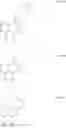 Fig. 26 - Antiviral compounds and methods of use thereof