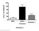 Fig. 04 - Method for Preventing and/or Treating Chronic Traumatic Encephalopathy - IV