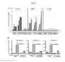 Fig. 03 - Compositions and methods for treating allergic inflammation through inhibition of NTRK1