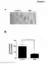 Fig. 08 - Hydrogen sulphide compounds