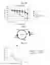 Fig. 10 - Combined anti-acid-fast bacterial agent, screening method for anti-acid-fast bacterial agents, and activity inhibitor of WecA or ortholog thereof