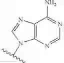Fig. 16 - ADENOSINE ANALOGS AND THEIR USE