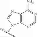 Fig. 25 - ADENOSINE ANALOGS AND THEIR USE